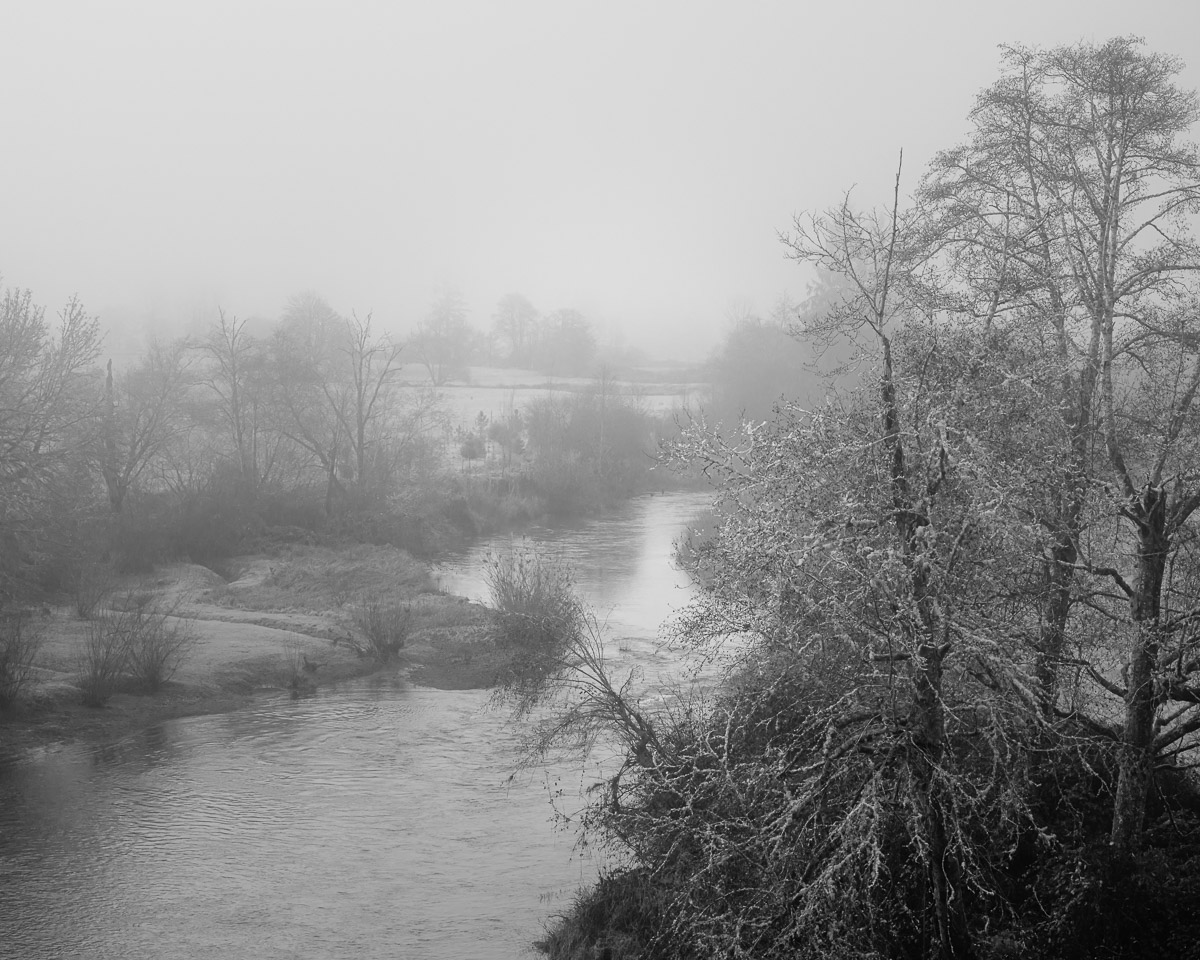 The Willapa River gently meanders through the serene landscape, its waters reflecting the quietude of the last day of autumn. Bare trees, their leaves surrendered to the season, stand sentinel over farmlands, resting in anticipation of winter’s embrace. A misty haze lends an ethereal quality, casting a soft veil that blurs the lines between water, land, and sky.