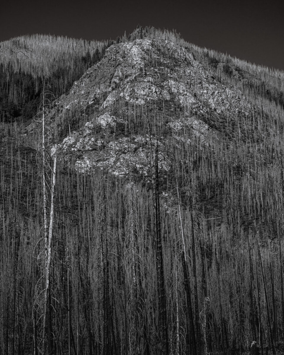 This black-and-white landscape photograph captures the long-lasting impact of the 2015 Wolverine Fire through the Entiat River Valley, Washington. The mountain’s exposed rocky slopes, dotted with skeletal trees, contrast with the dense burnt forest in the foreground. After a decade, forest regeneration has occurred, showcasing nature’s resilience in the face of devastation.