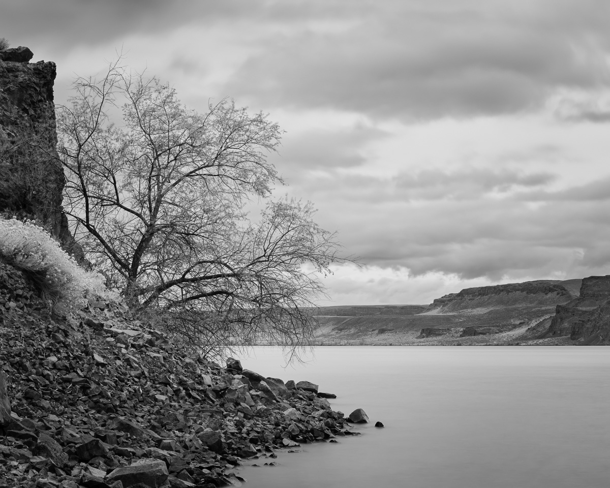 With only a few hours for my photography, I headed out the Old Vantage Highway (Old Highway 10) from Ellensburg, Washington until the old roadbed enters the river near Vantage (the road continued to a town and bridge below before a dam was built and raised the water level). From that point, I walked (and scrambled) the trail along river to the North of where I parked my vehicle. Normally, the water level is much higher and this location is under water. appearance.