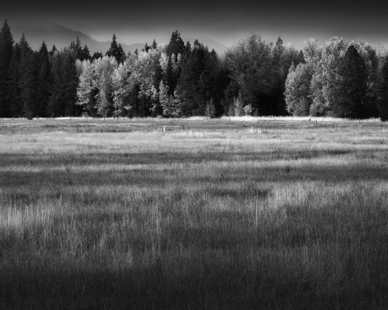 Autumn's quiet elegance graces this serene pasture near Trout Lake, Washington, as morning light dances across whispering grasses and the shadowed embrace of distant trees. This tranquil scene offers a poetic homage to nature's rhythm, evoking timeless stillness and deep introspection.