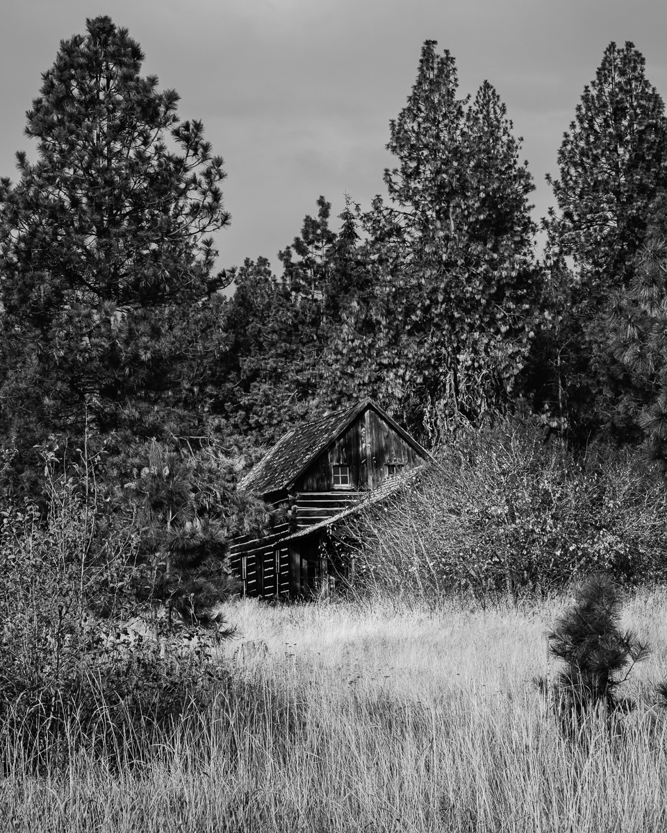 Step into the stillness of the Pacific Northwest with this striking piece, where the Whitcomb-Cole Log House quietly rests amid a tranquil forest backdrop. Its rugged charm invites you to reflect on the stories held within its weathered timbers, embodying a sense of resilience as nature gently reclaims its space. This artwork adds a touch of rustic elegance, perfect for any contemplative corner in your home.