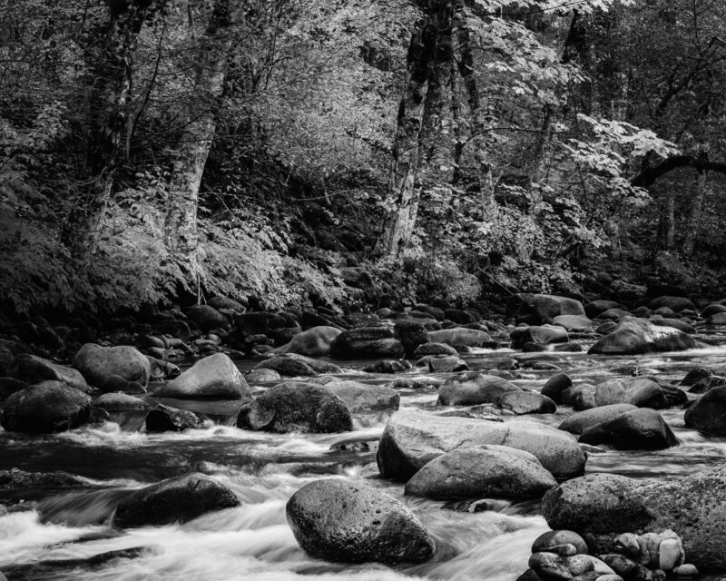 Serene Rhythm, Trout Lake, Washington