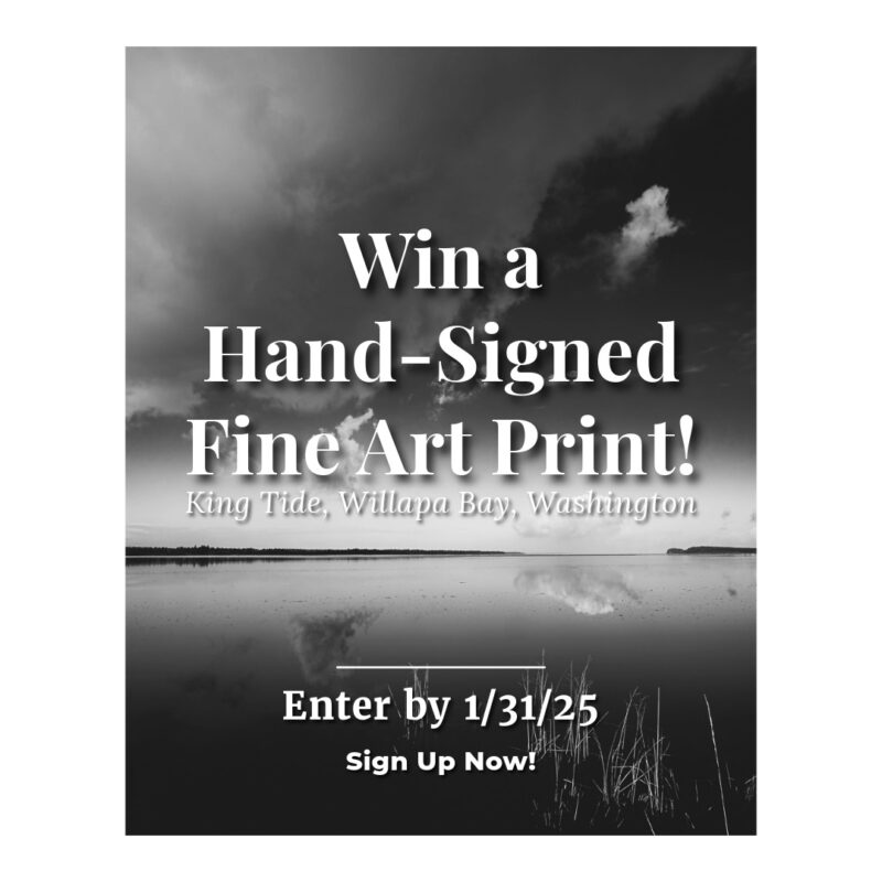 Enter to Win a Hand Signed Fine Art Print