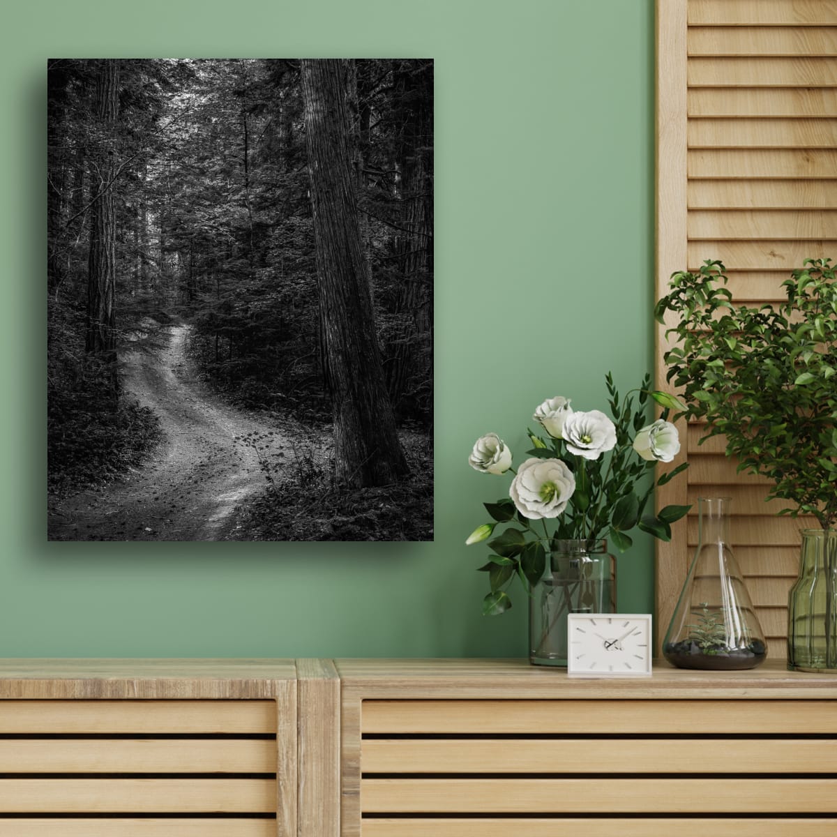 Pictured // Silent Forest Path, Suiattle River Valley, Washington