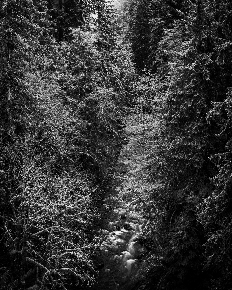 This black-and-white photograph reveals a serene winter forest in the Pacific Northwest, where the Sitkum River flows beneath frost-covered trees. The scene embodies tranquility and invites reflection, making it a perfect addition to any peaceful space.