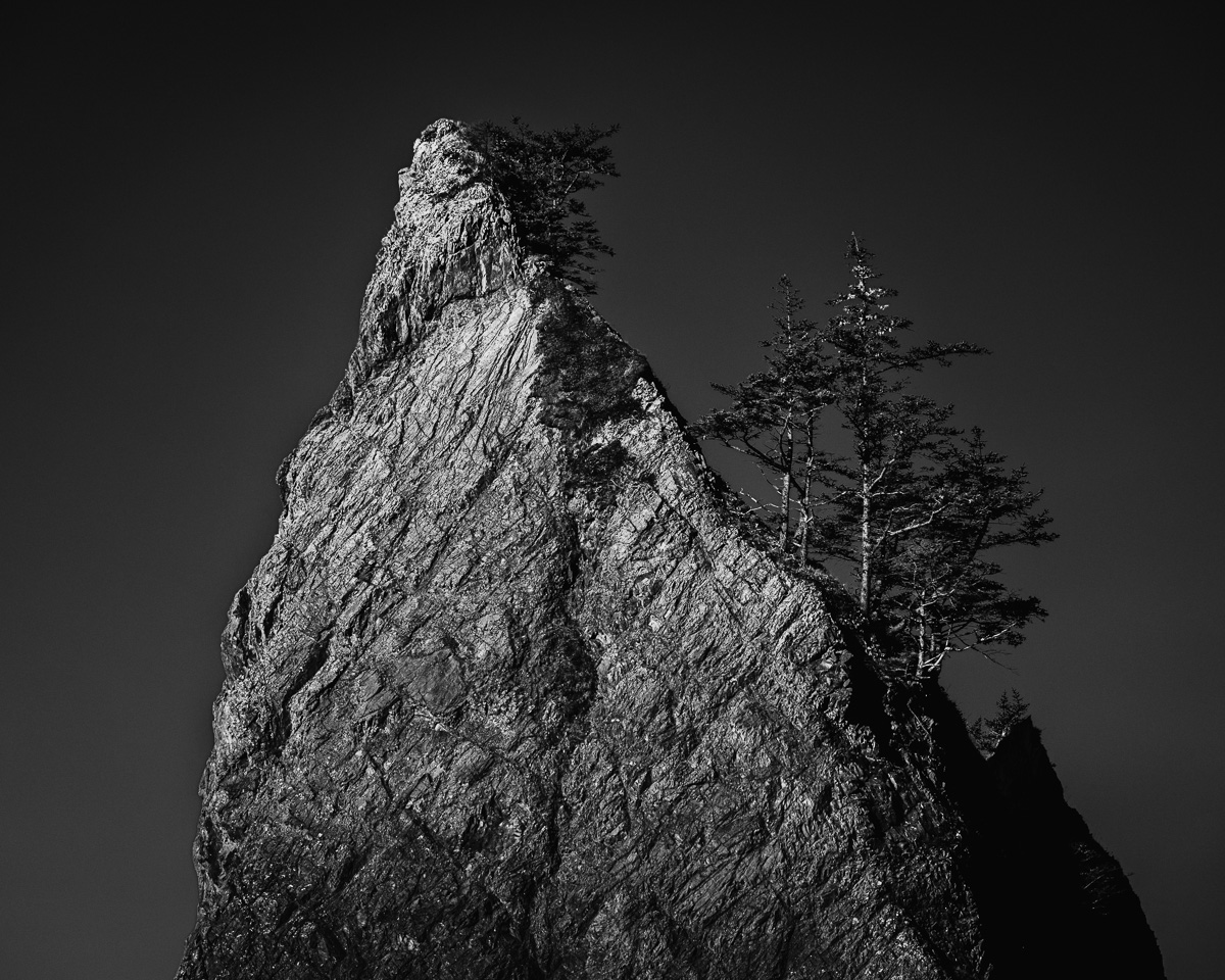 This black-and-white photograph captures the rugged elegance of a towering sea stack along the winter coastline of Rialto Beach, Olympic National Park, Washington. The stark contrast highlights the resilience of trees clinging to the rocky pinnacle, embodying nature's tenacity and grace.