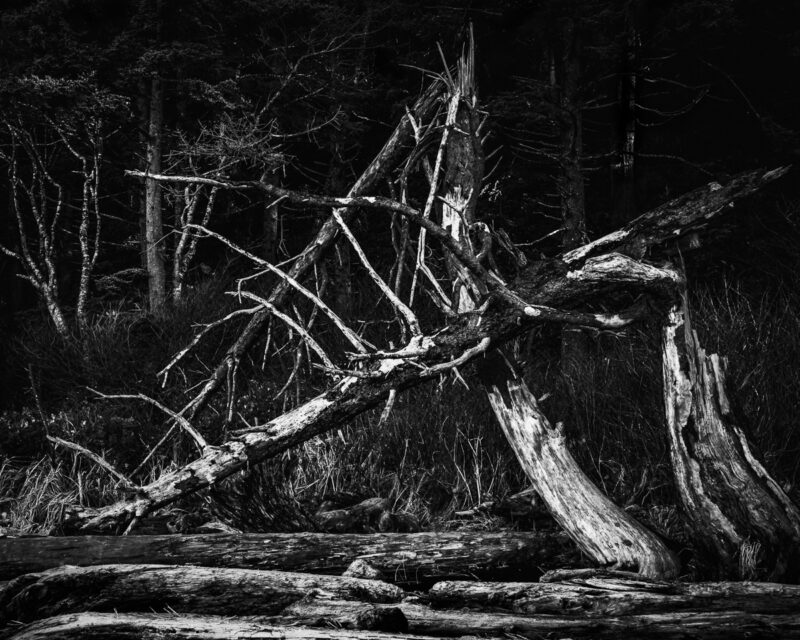 This black-and-white photograph presents the intricate dance of driftwood and branches at the edge of a winter coastline. Captured along Rialto Beach in Olympic National Park, the interplay of light and shadow conveys the raw beauty of nature, inviting reflection and tranquility.