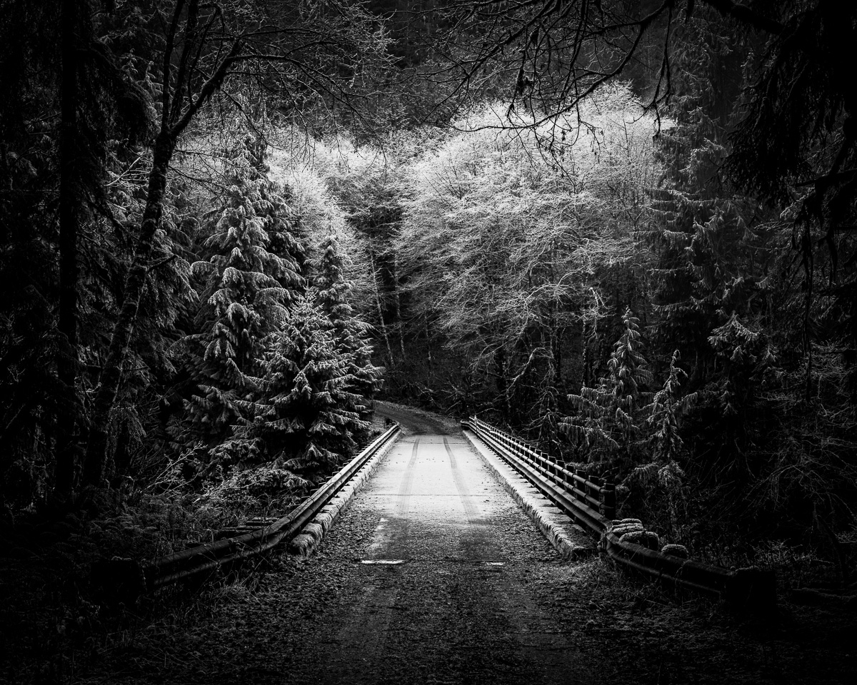 This black-and-white image explores the serene beauty of the Sitkum River Valley. A frosted road leads you across a bridge into the forest, inviting reflection and peace. It is perfect for adding a touch of nature's calm to your space.