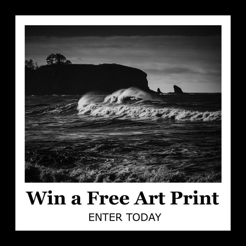 March 2025 Fine Art Print Giveaway – Enter to Win!