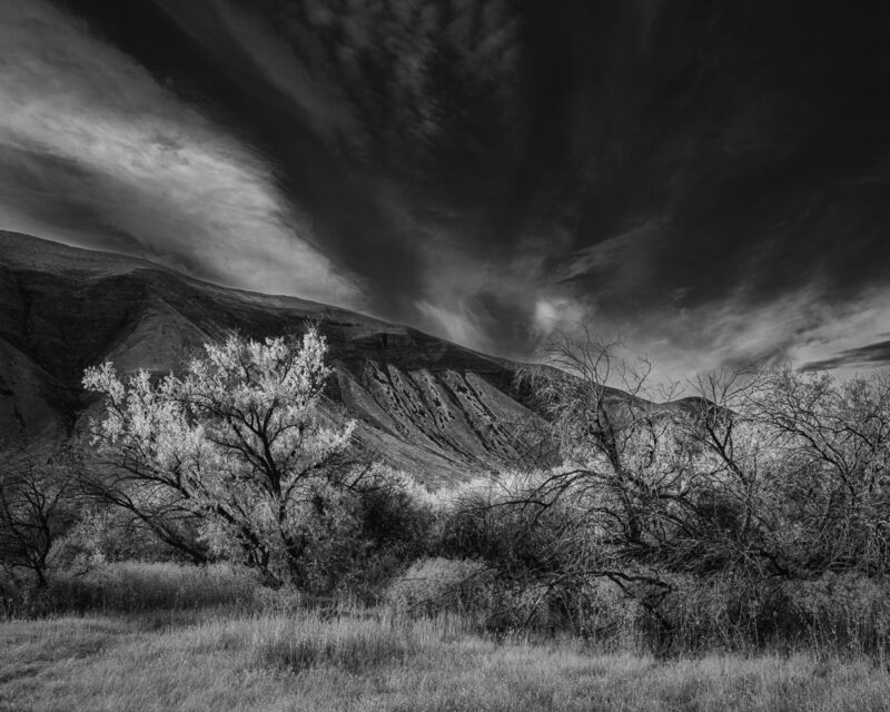 This black-and-white landscape invites you to explore the serene beauty of Lower Crab Creek Coulee, Washington. The interplay of light and shadow reveals the intricate textures of trees and mountains, evoking calm and introspection. Each element speaks to the enduring rhythm of nature, offering a moment of timeless tranquility.