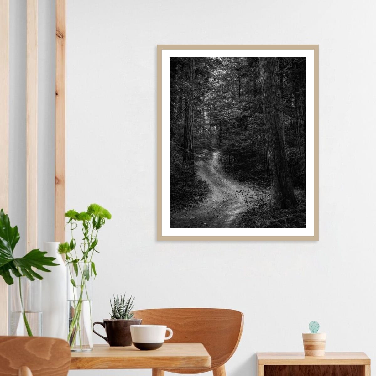 Pictured // Silent Forest Path, Suiattle River Valley, Washington