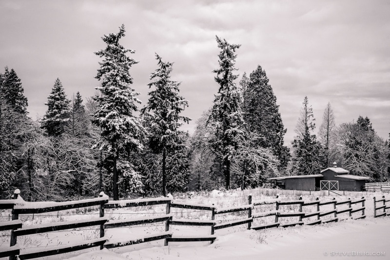 A black and white photograph of a field, barn and fence in the snow in Edgewood, Washington.