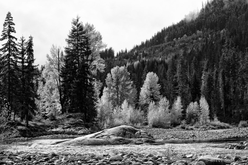 Autumn colors on the upper Cle Elum River near Salmon la Sac in Kittitas County, Washington.