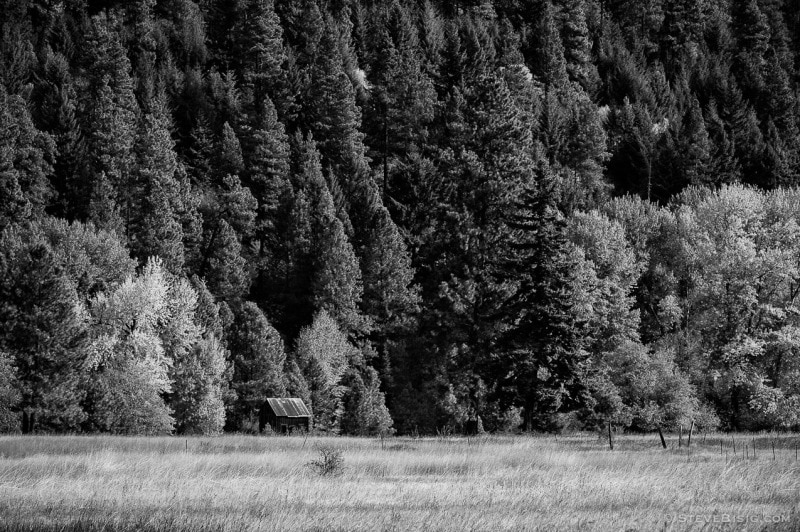 A black and white rural photograph of an old abandoned homestead house on the edge of the forest in upper Kittitas County, Washington.