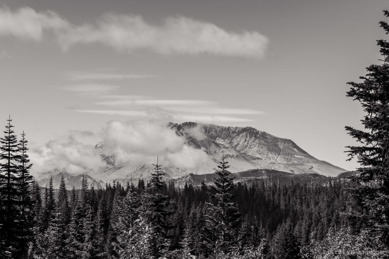 A black and white photograph of Mount St. Helens framed in by the forest as viewed from the Bear Meadows Viewpoint off of Forest Road 99 in the Gifford Pinchot National Forest, Washington.