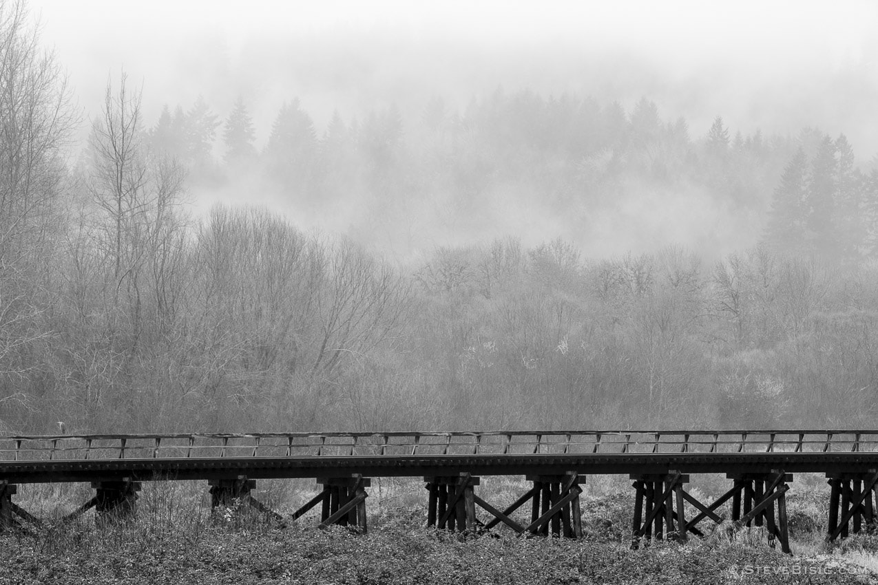 A black and white photograph of an old railroad trestle along State Route 6 in rural Lewis County, Washington.