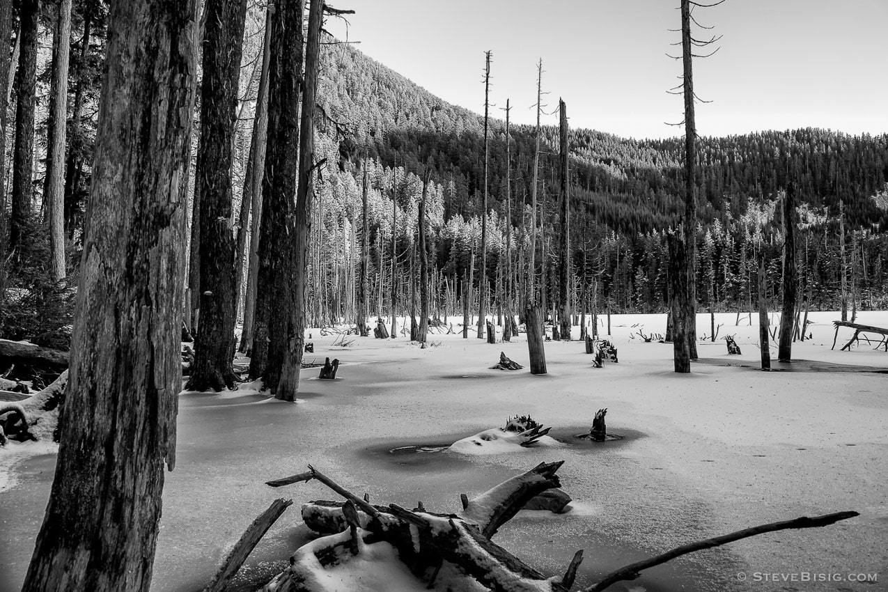 A frozen Coplay Lake under a light blanket of snow near Mt Rainier, Washington.