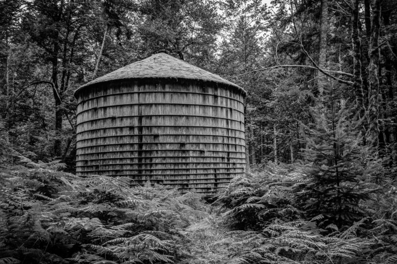 A black and white photograph of a moss-covered, wooden water tank in the forest in the Gifford Pinchot National Forest in Washington state.